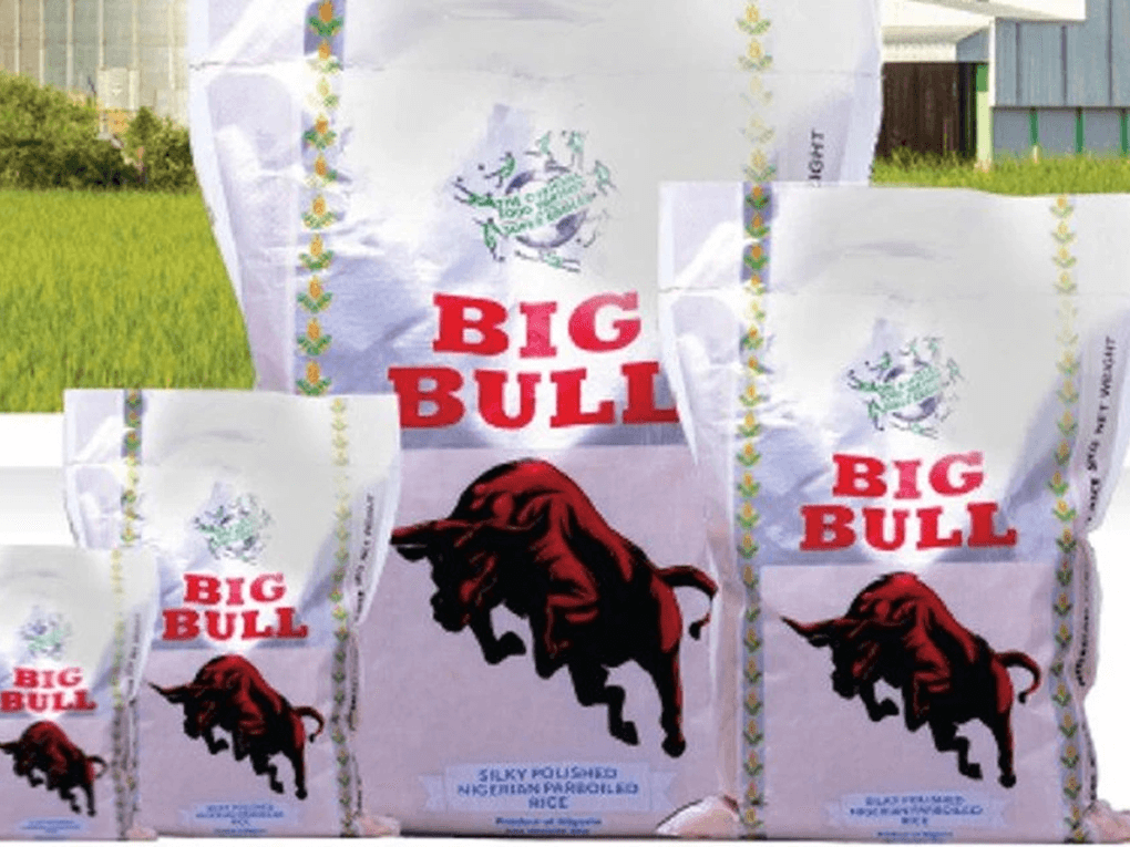 Big Bull’s 2024 Brand Identity Protection Strategy – What Small Businesses Can Learn